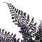 Purple &#x26; Black Fern Halloween Bush by Ashland&#xAE;